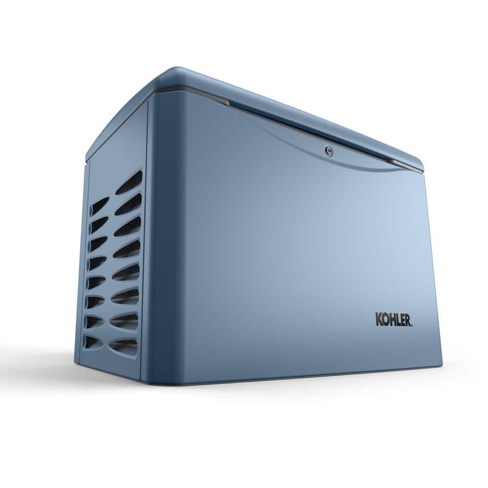 A single green leaf against a white background.