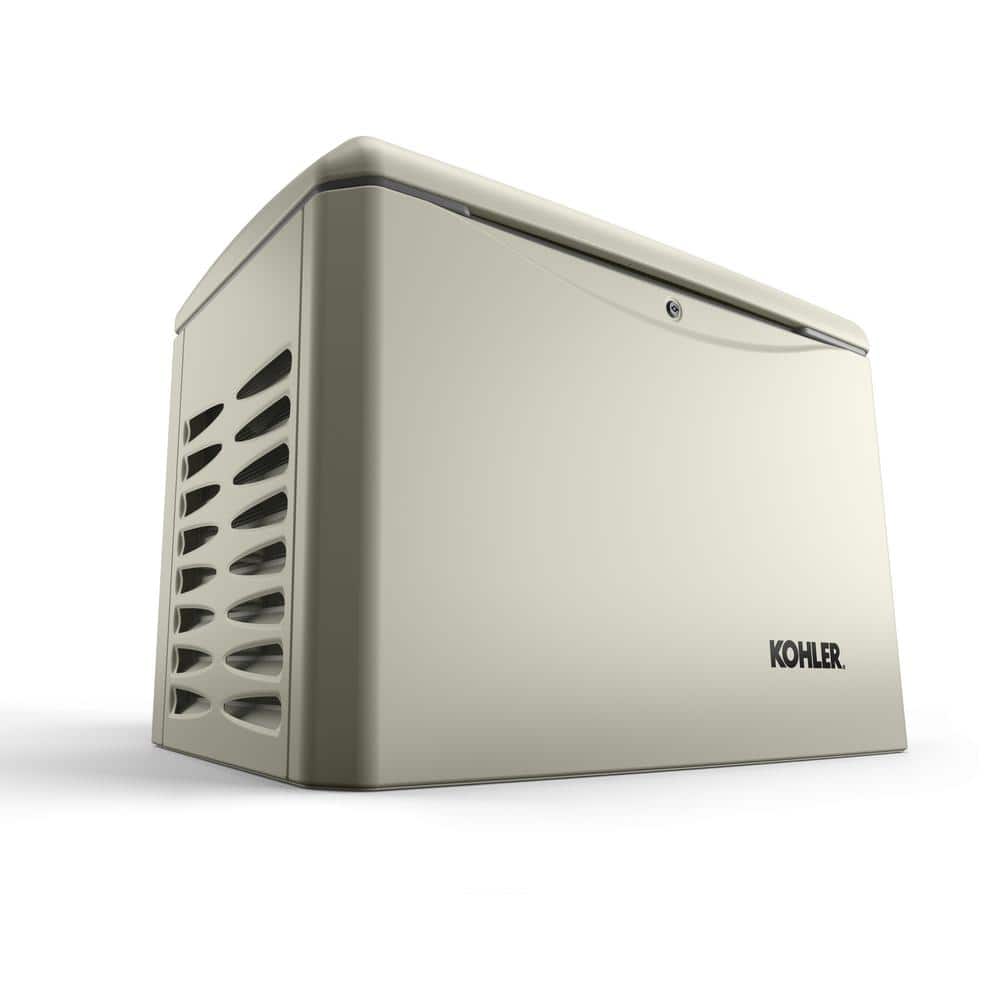 A single green leaf against a white background.