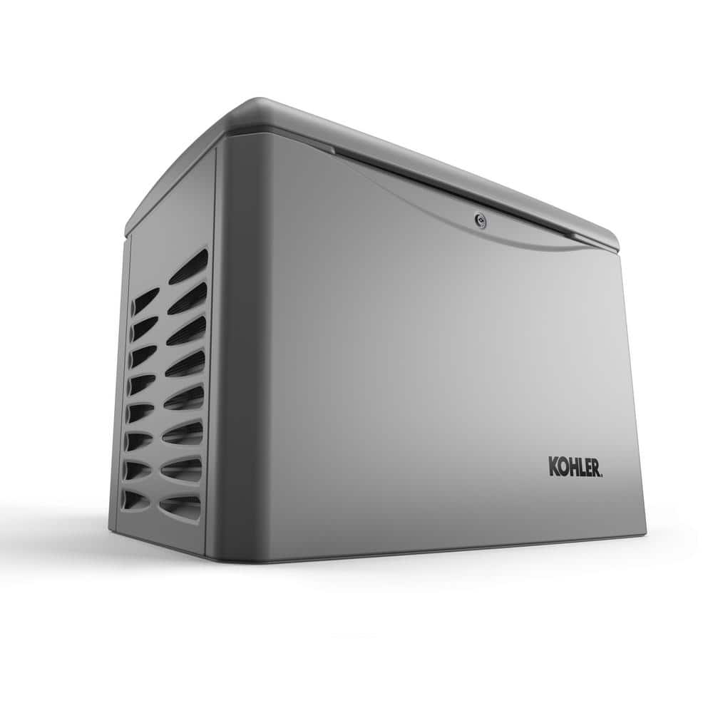 A single green leaf against a white background.