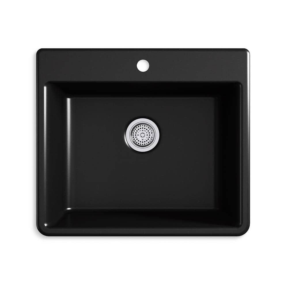 A single green leaf against a white background.