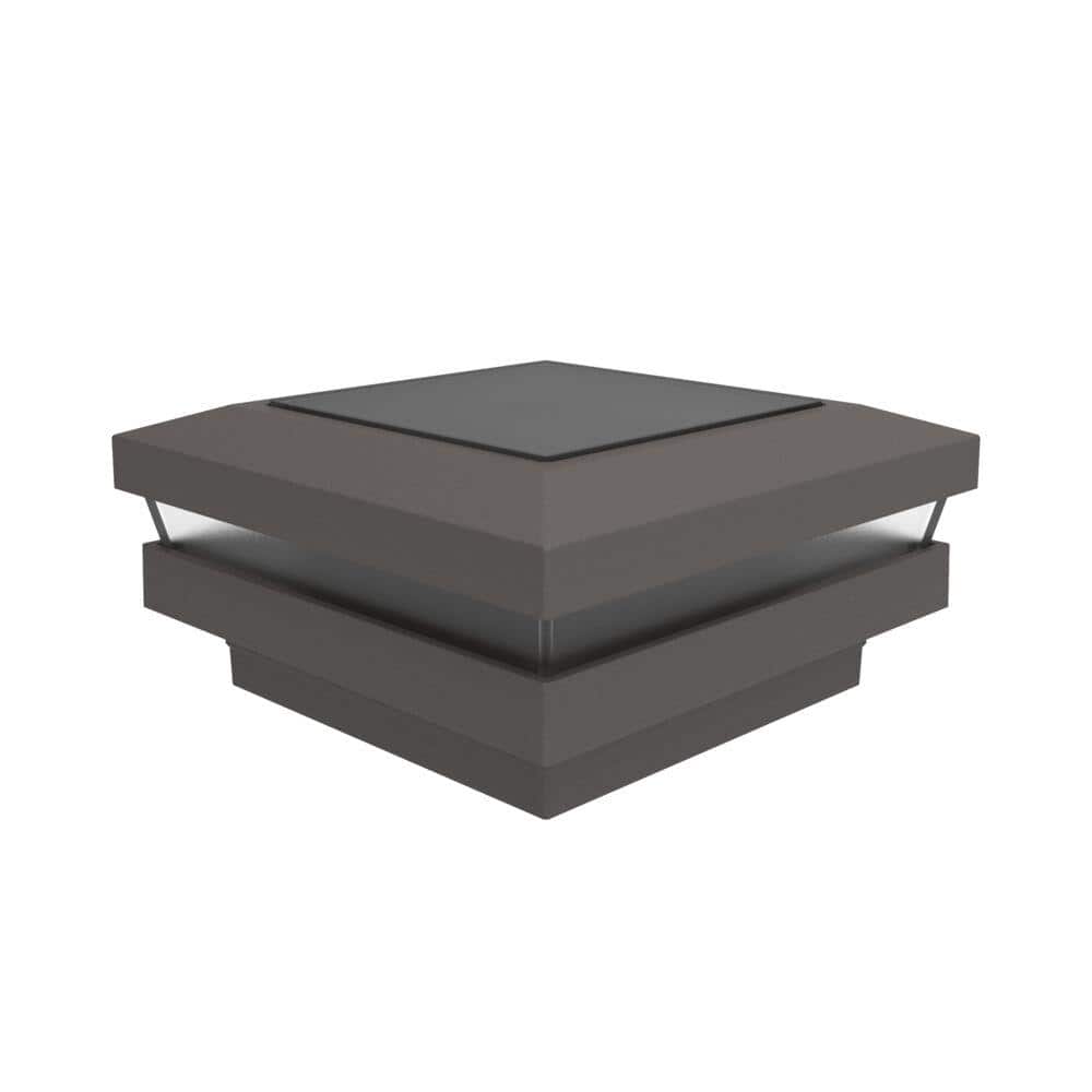 A single green leaf against a white background.