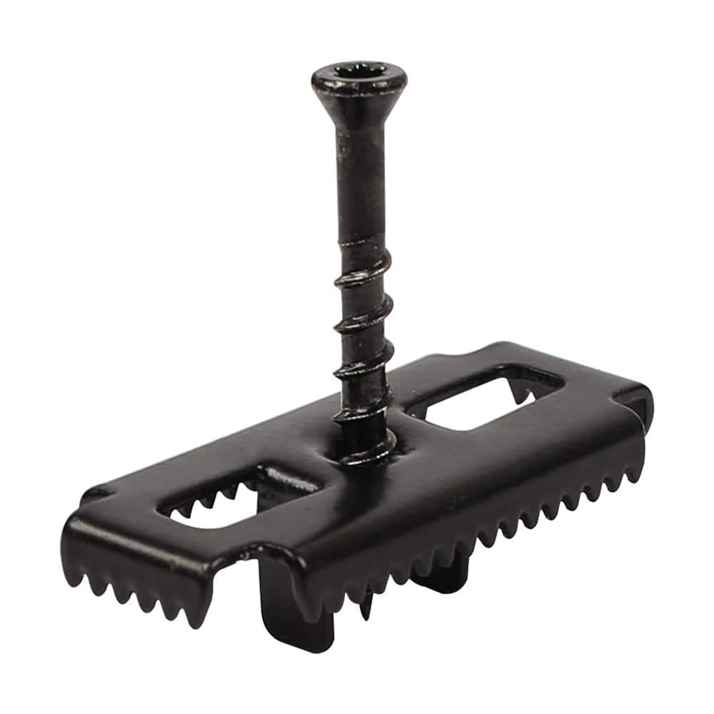 A single green leaf against a white background.