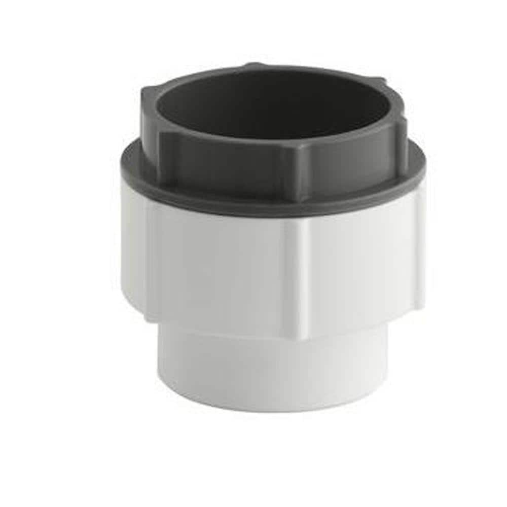 A single green leaf against a white background.