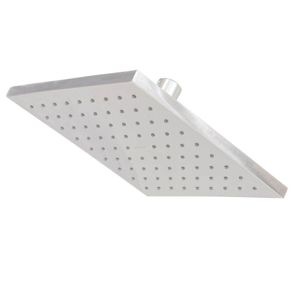 A single green leaf against a white background.