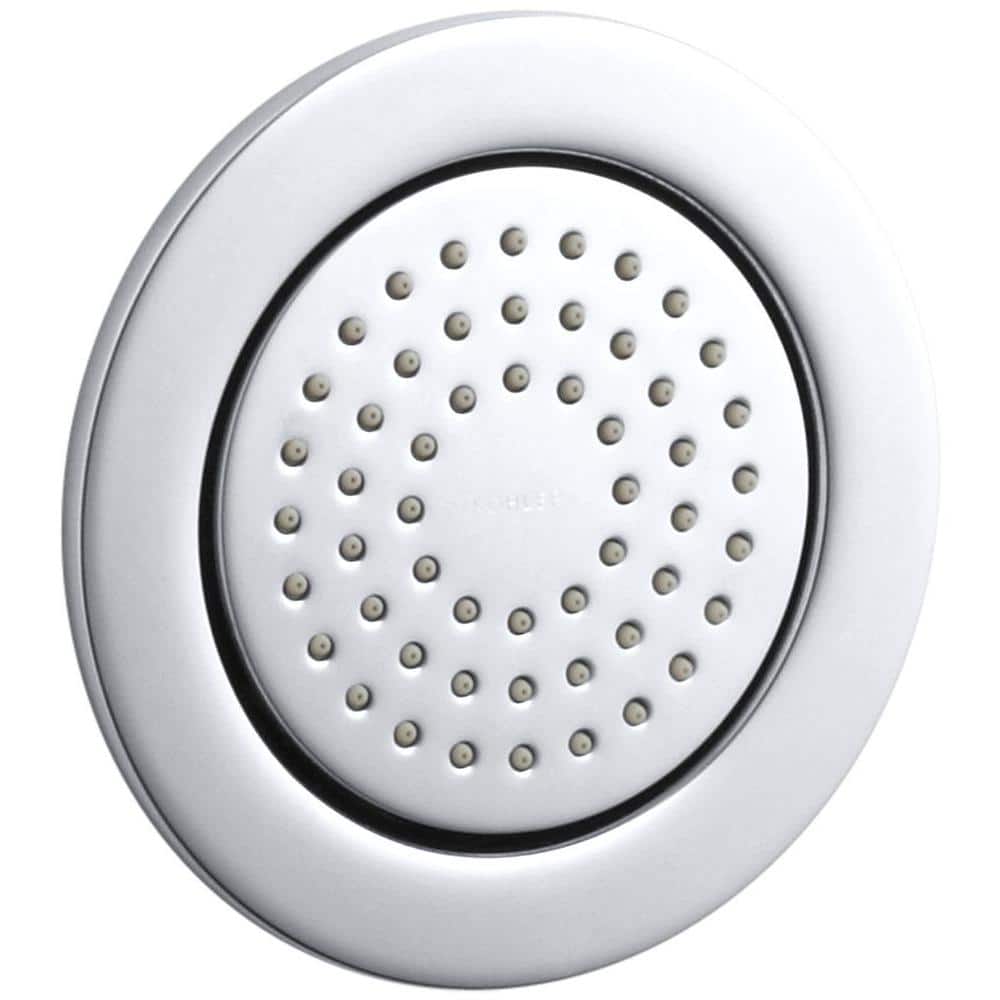 A single green leaf against a white background.