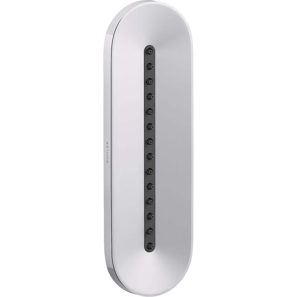 A single green leaf against a white background.