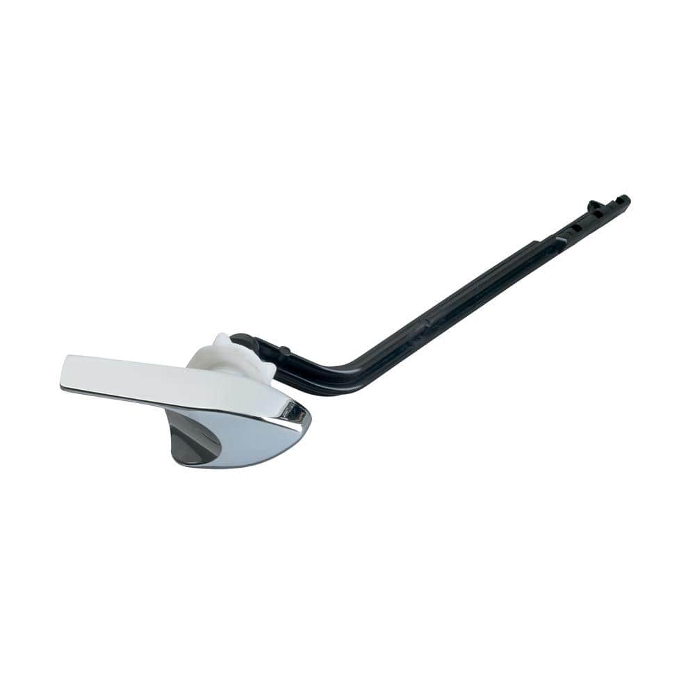 A single green leaf against a white background.