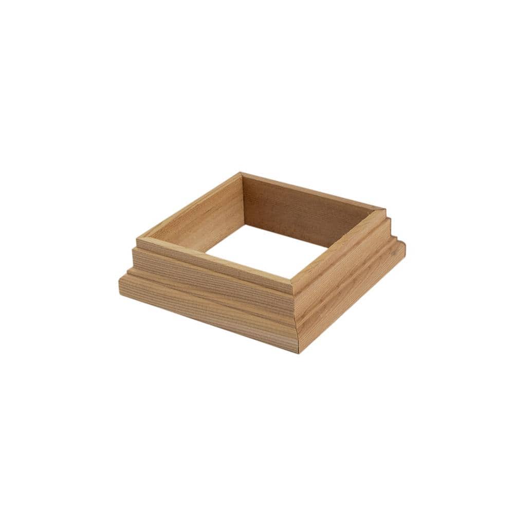 A single green leaf against a white background.