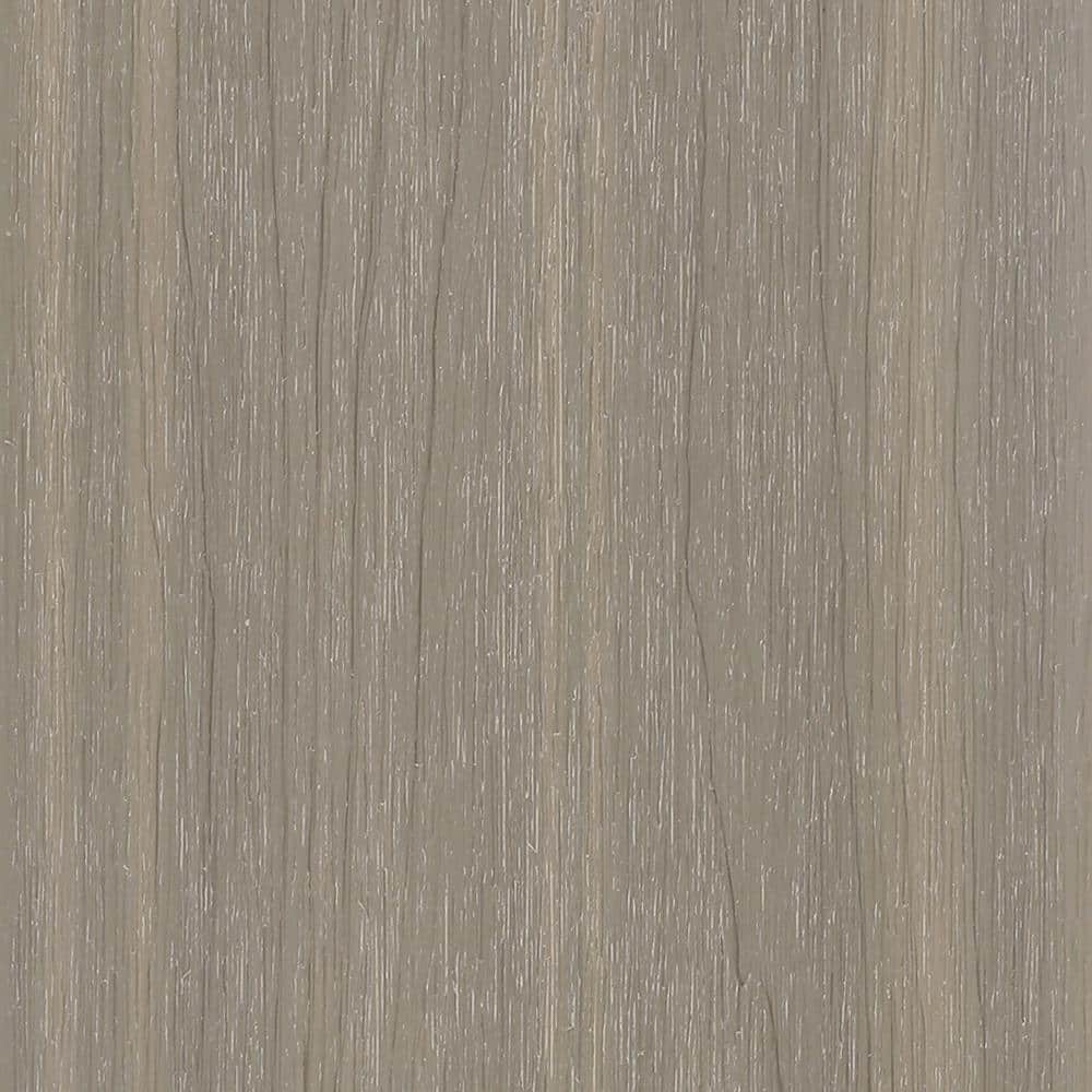 A single green leaf against a white background.