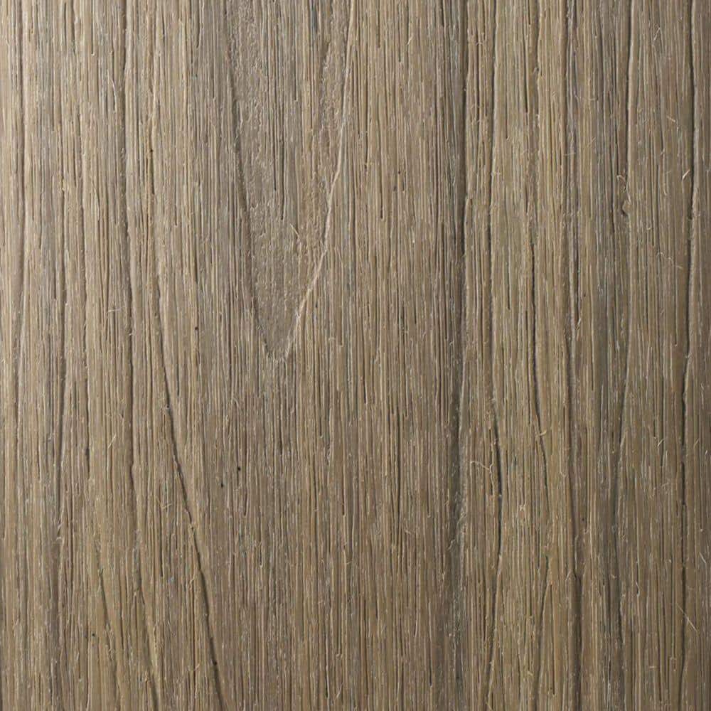 A single green leaf against a white background.