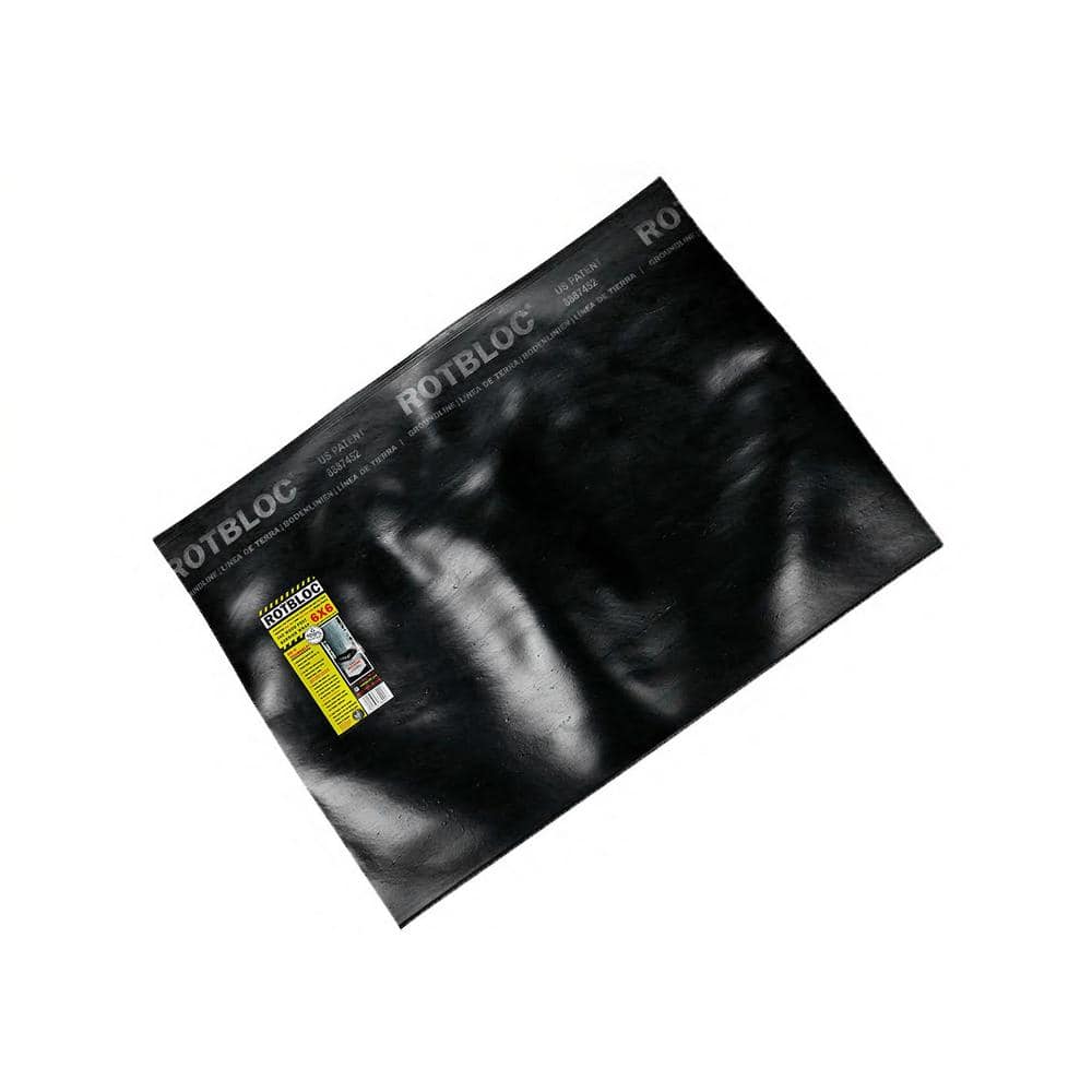 A single green leaf against a white background.