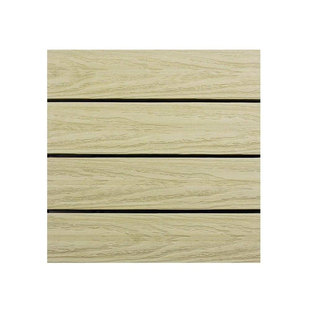 A single green leaf against a white background.