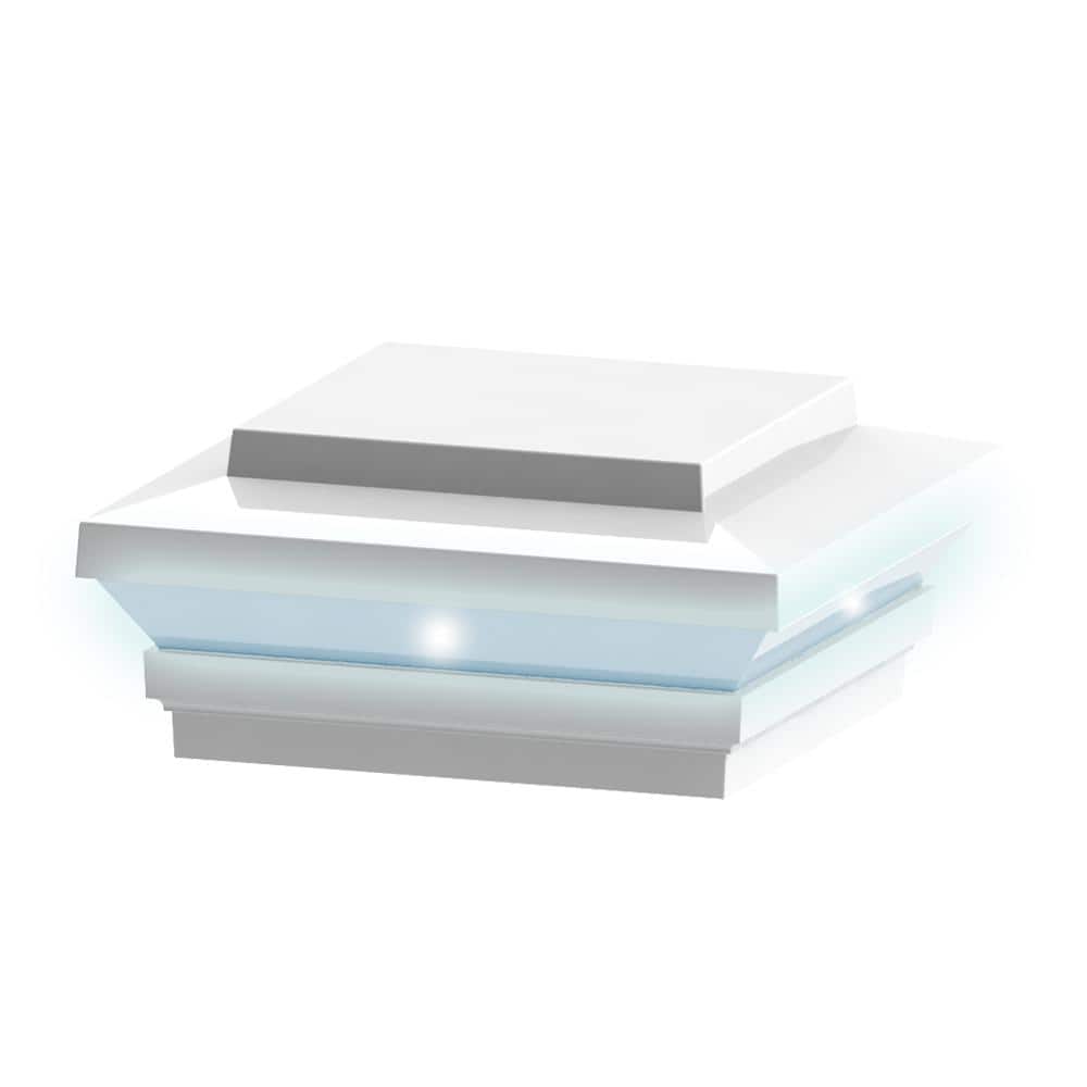 A single green leaf against a white background.