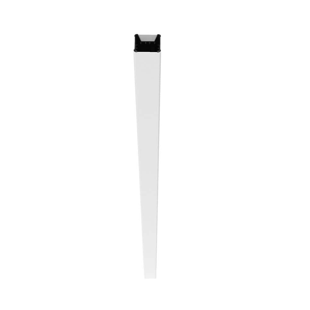 A single green leaf against a white background.