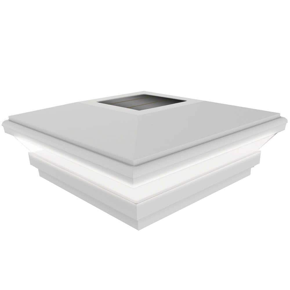 A single green leaf against a white background.