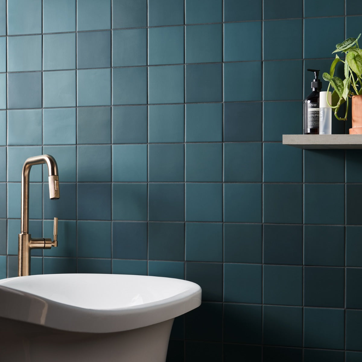 A single green leaf against a white background.