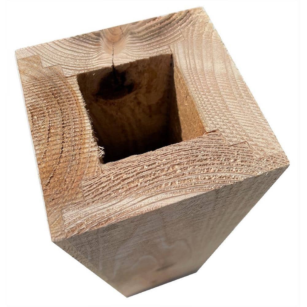 A single green leaf against a white background.