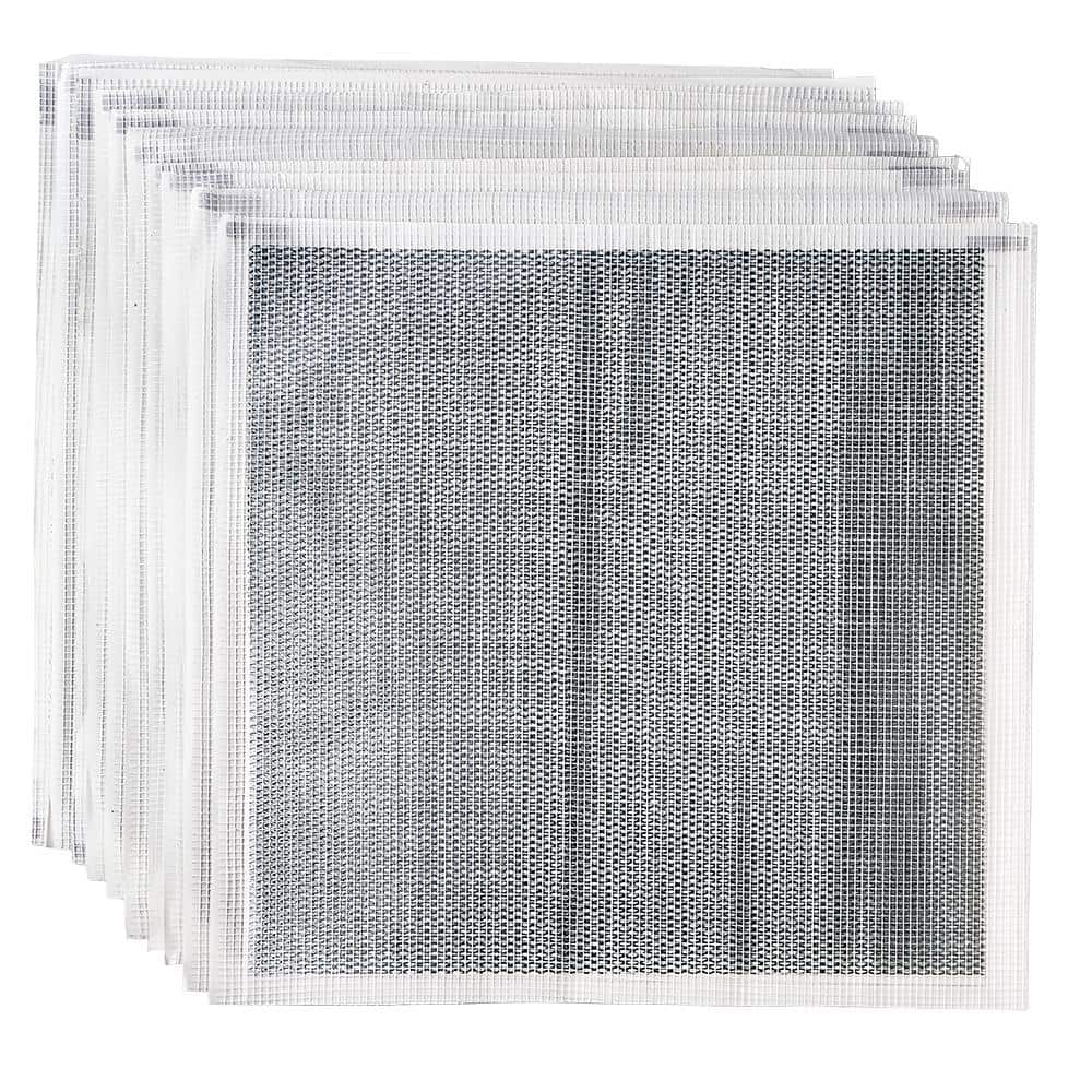 A single green leaf against a white background.