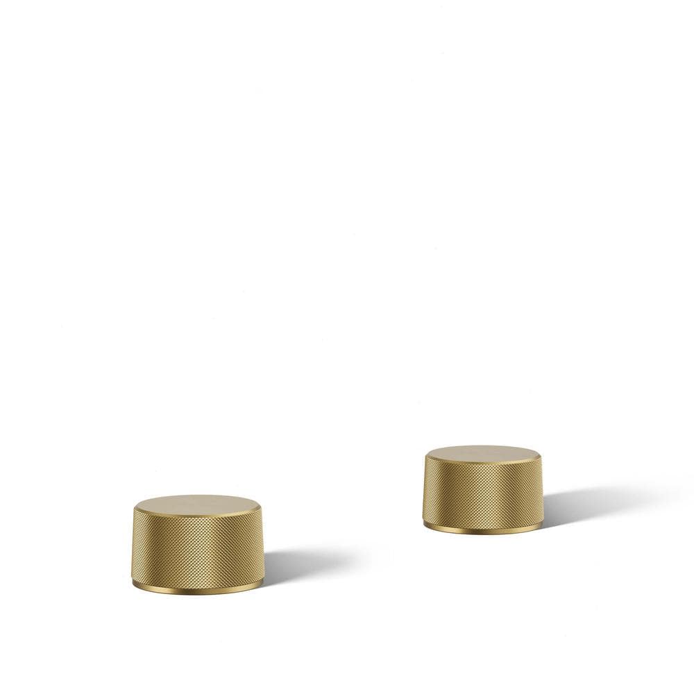 A single green leaf against a white background.