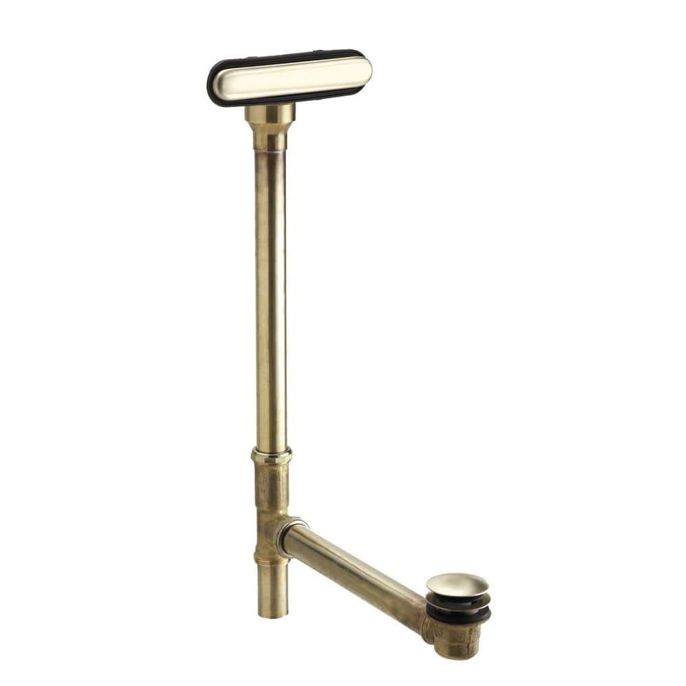 A single green leaf against a white background.