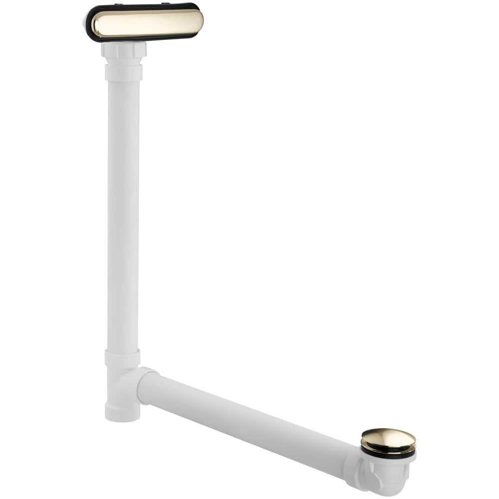 A single green leaf against a white background.