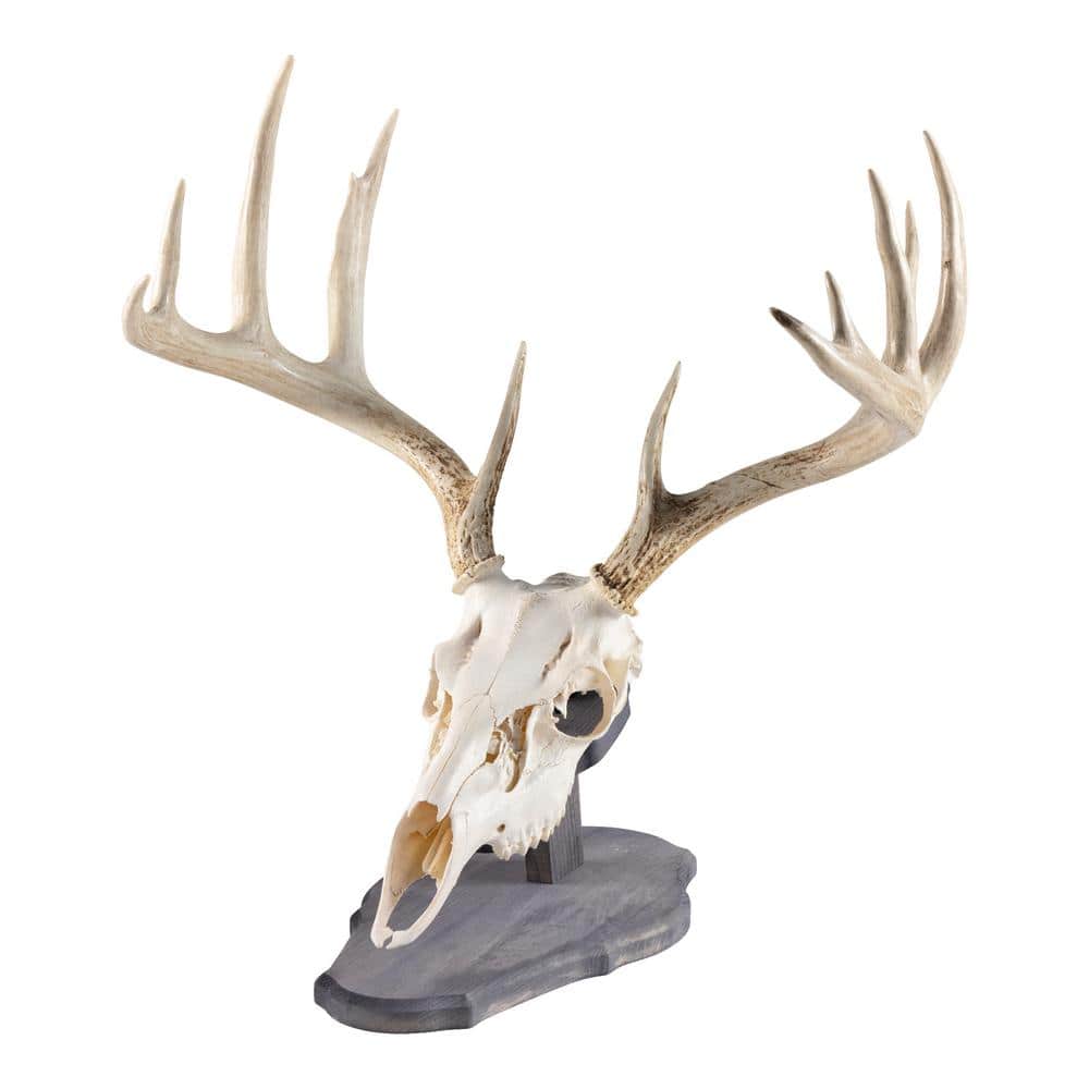 A single green leaf against a white background.