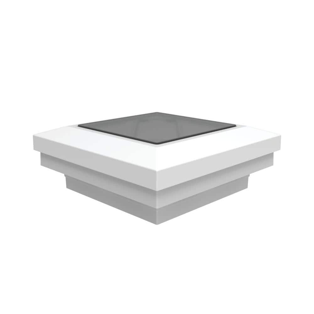 A single green leaf against a white background.