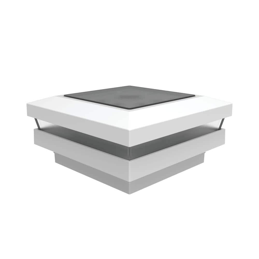 A single green leaf against a white background.