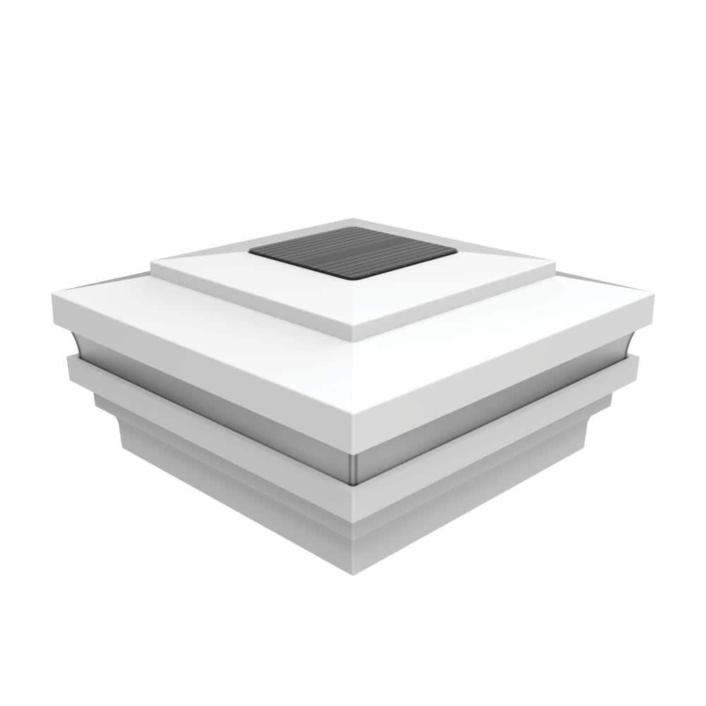 A single green leaf against a white background.