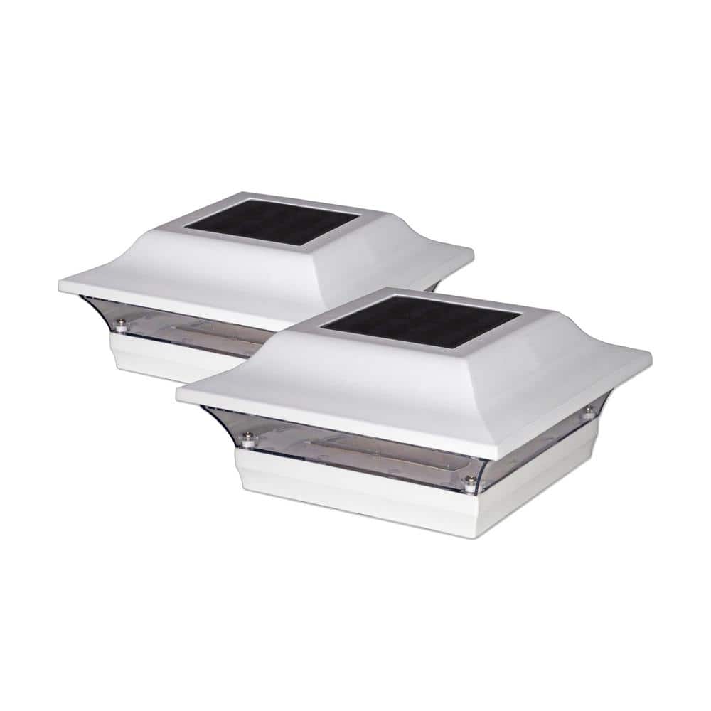 A single green leaf against a white background.