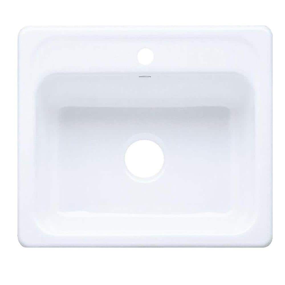 A single green leaf against a white background.