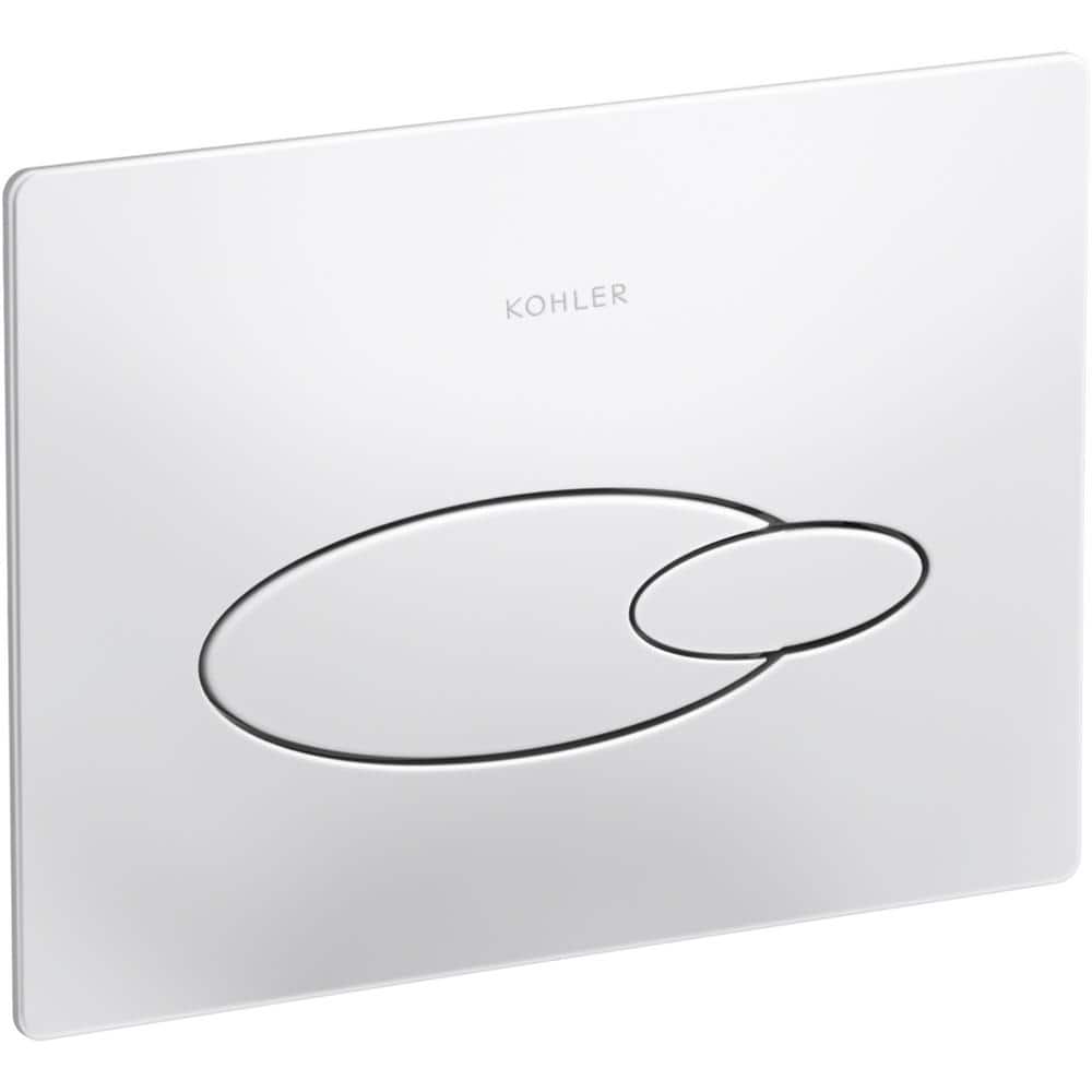 A single green leaf against a white background.