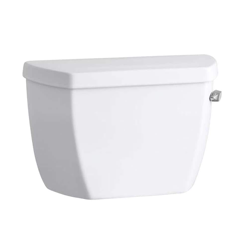 A single green leaf against a white background.