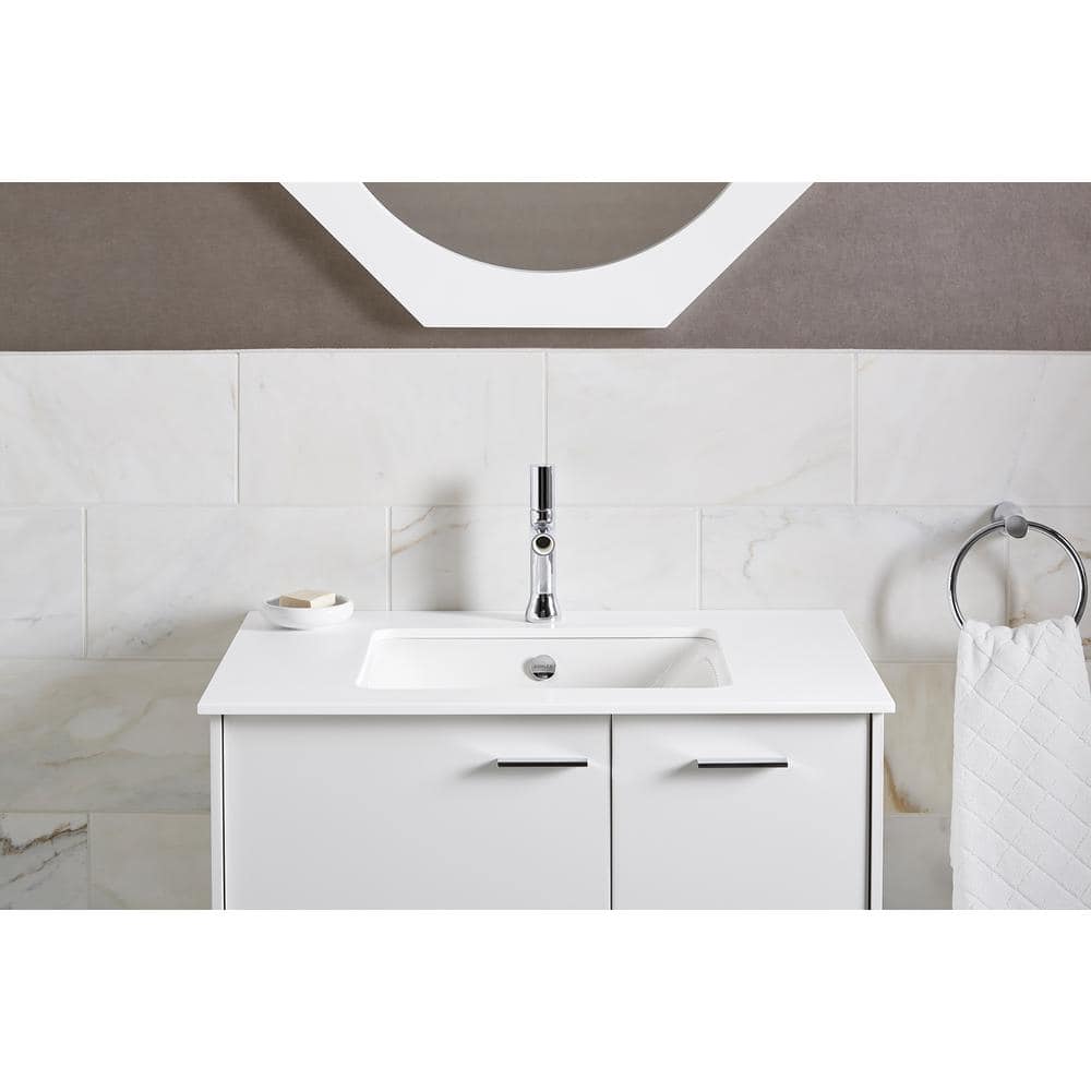 A single green leaf against a white background.