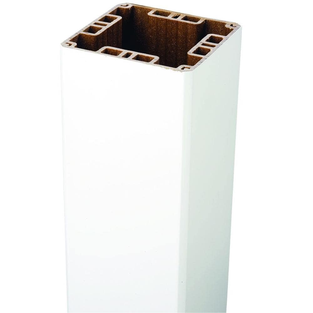 A single green leaf against a white background.