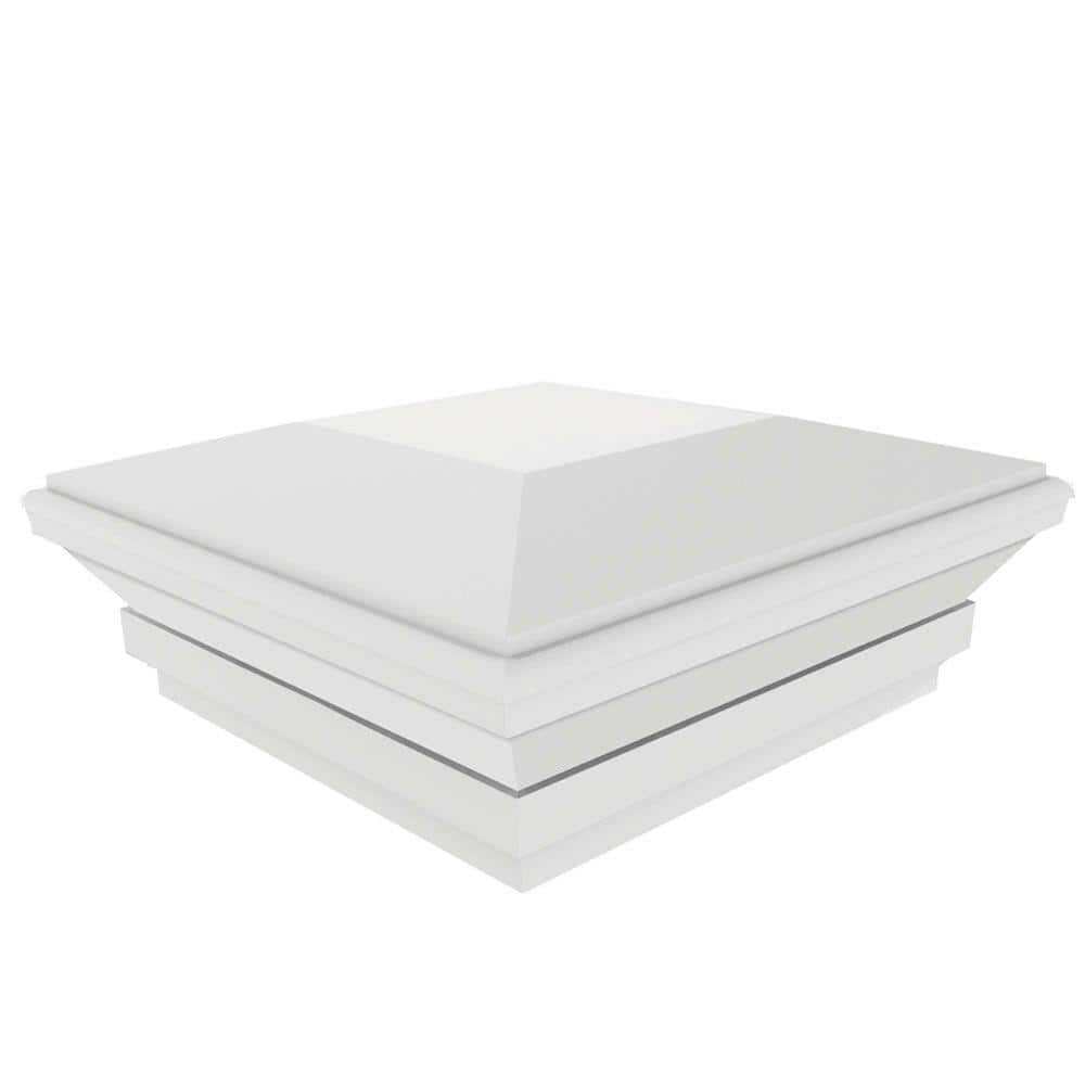 A single green leaf against a white background.