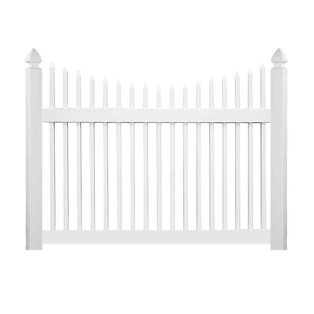 A single green leaf against a white background.