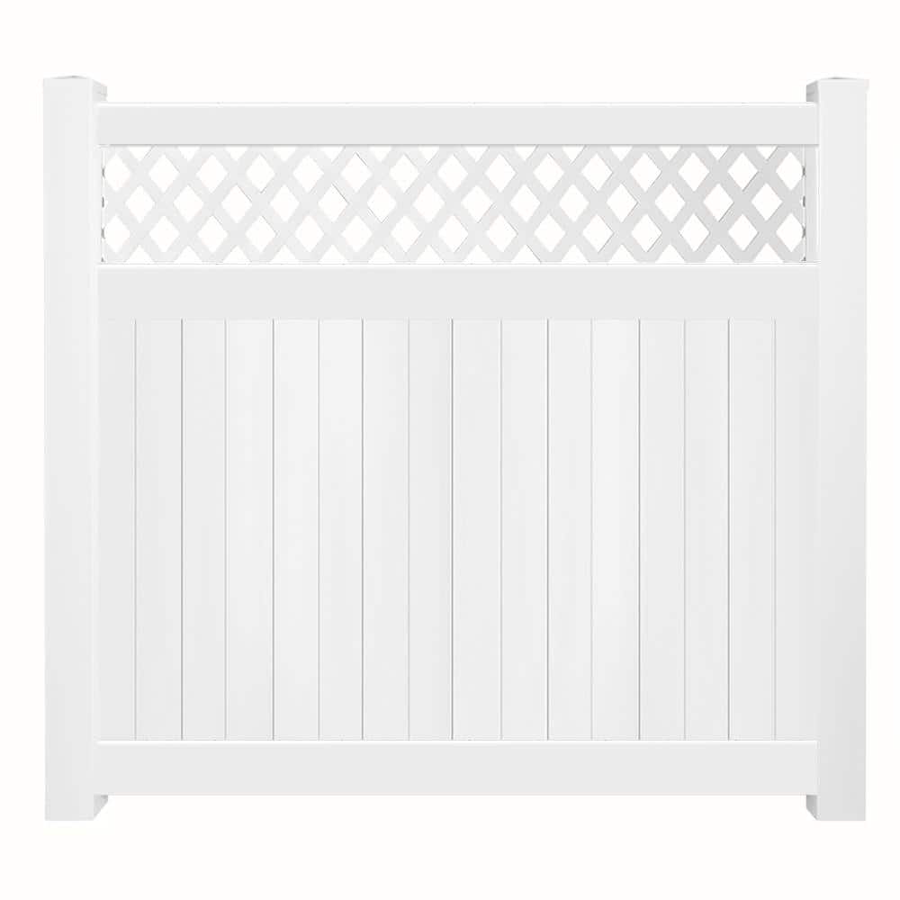 A single green leaf against a white background.