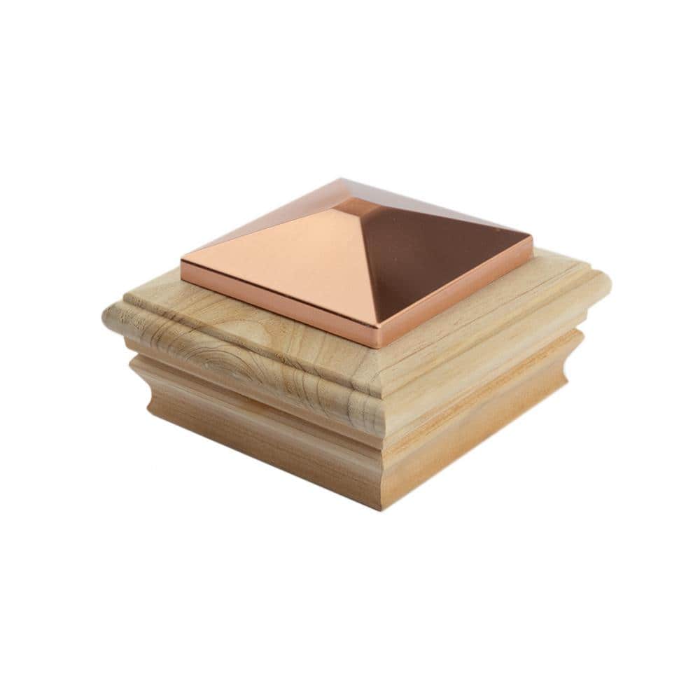 A single green leaf against a white background.