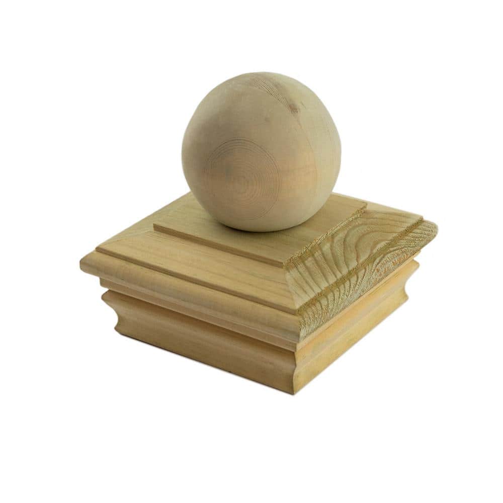 A single green leaf against a white background.