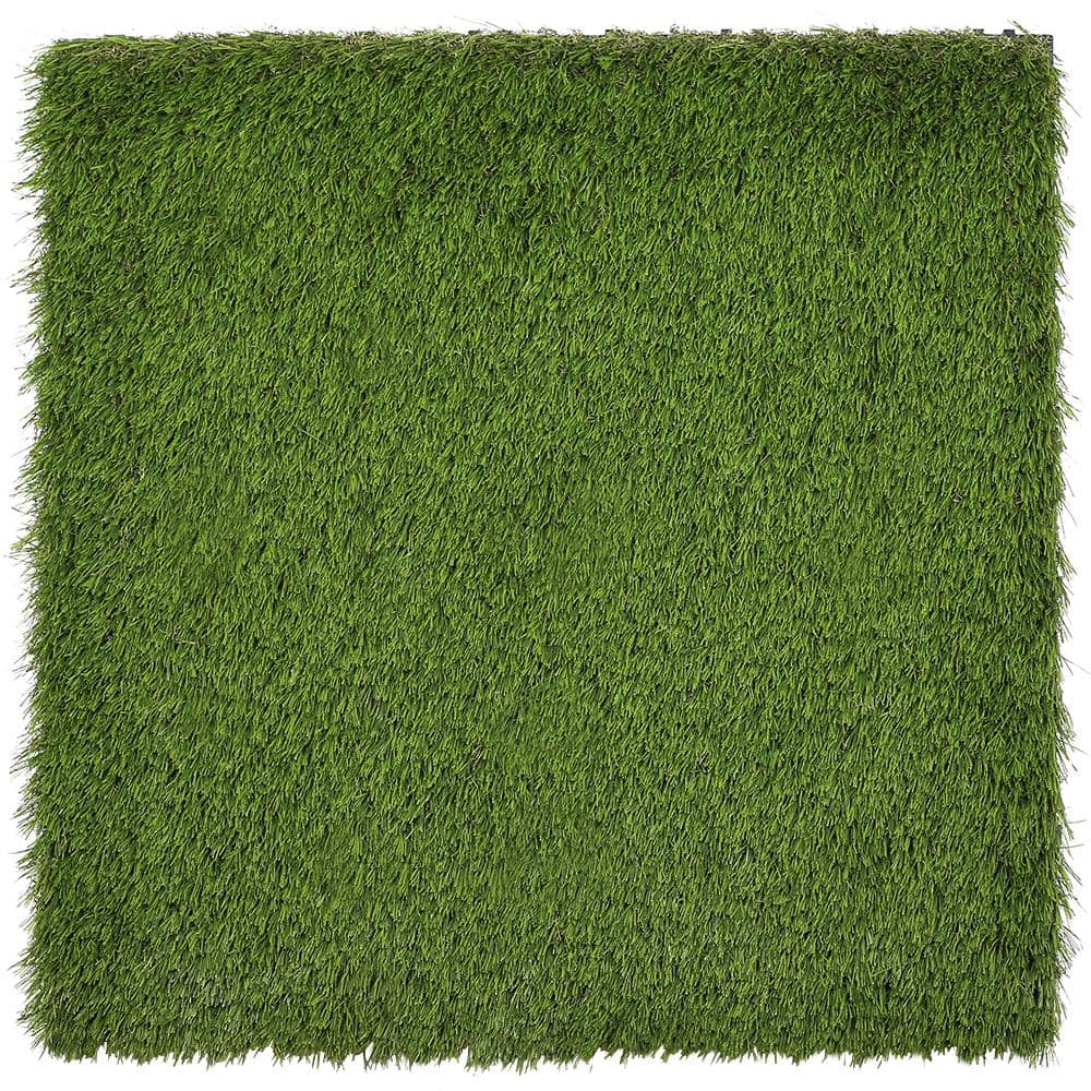 A single green leaf against a white background.