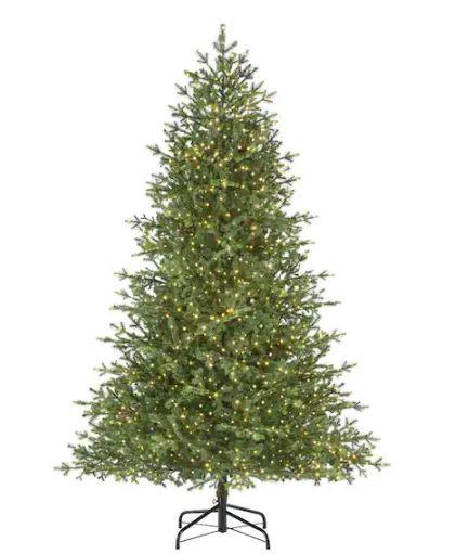 75 Ft Elegant Grand Fir Christmas Treenull
