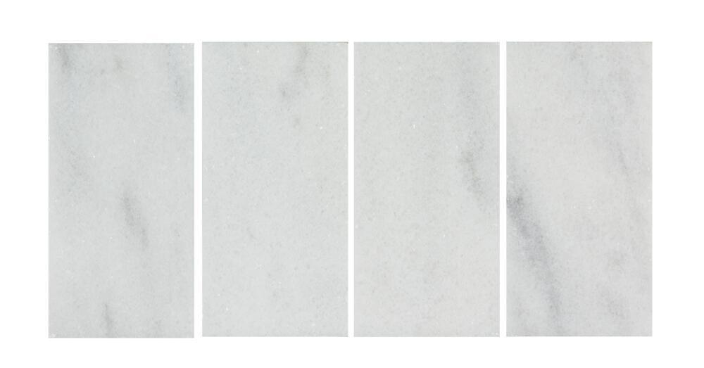 Ellis + Fisher Bianco 3 x 6 Marble Floor and Wall Tile Super Arbor