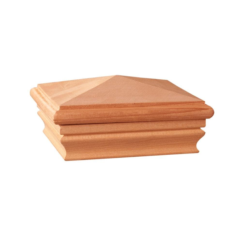 A single green leaf against a white background.