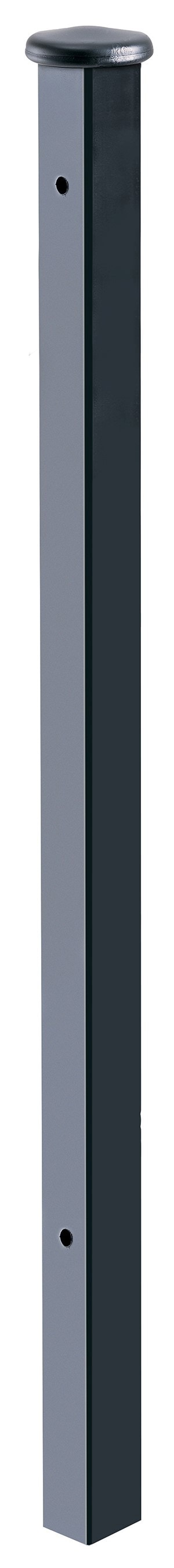 A single green leaf against a white background.