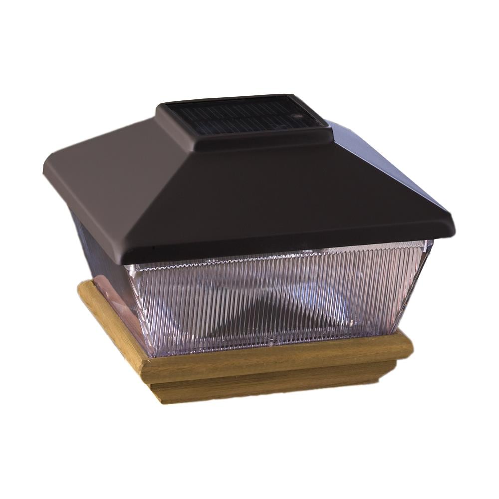 A single green leaf against a white background.