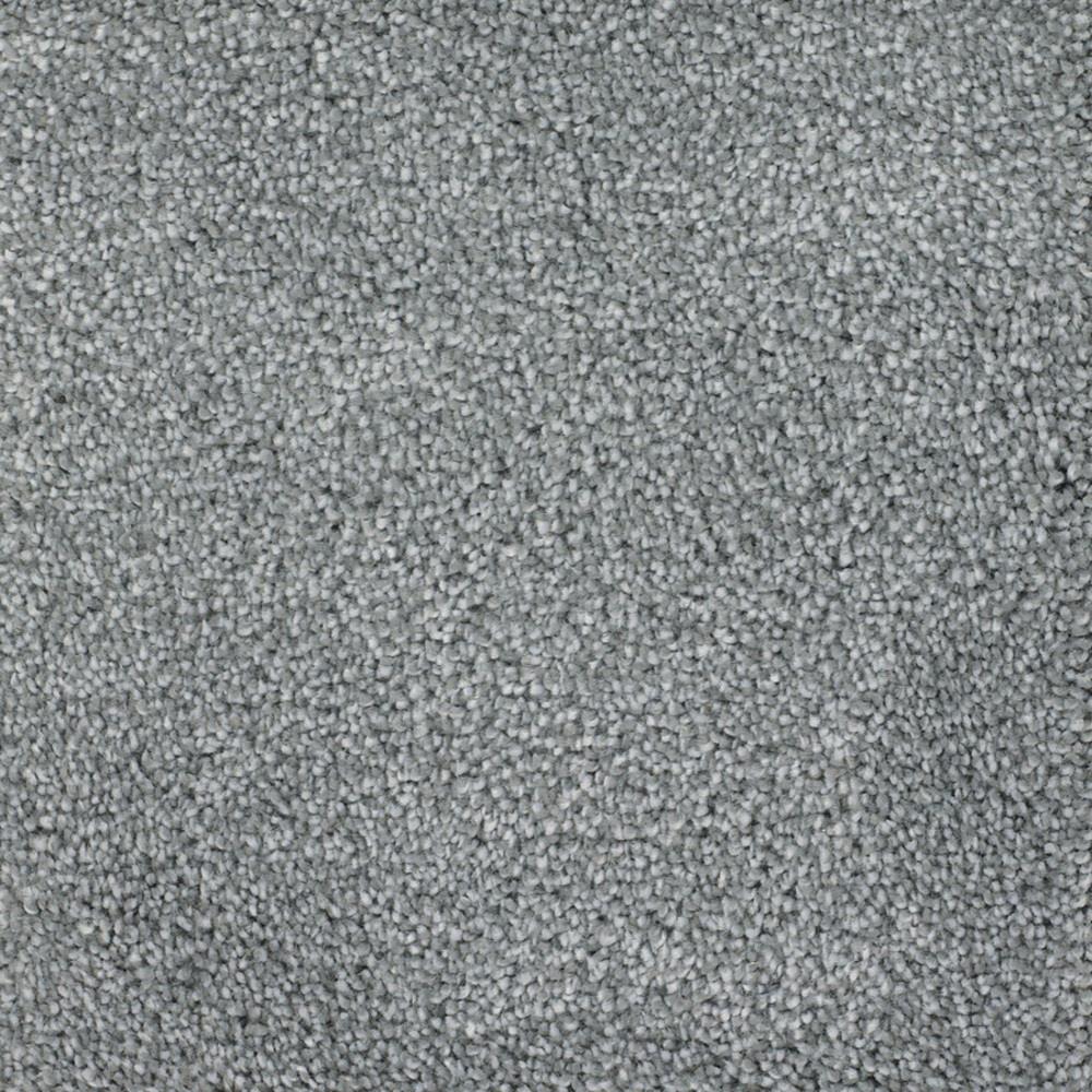 STAINMASTER Signature Briar Patch Weathered Textured Carpet Sample (In ...