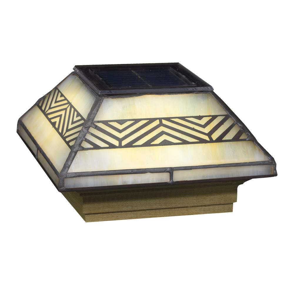 A single green leaf against a white background.