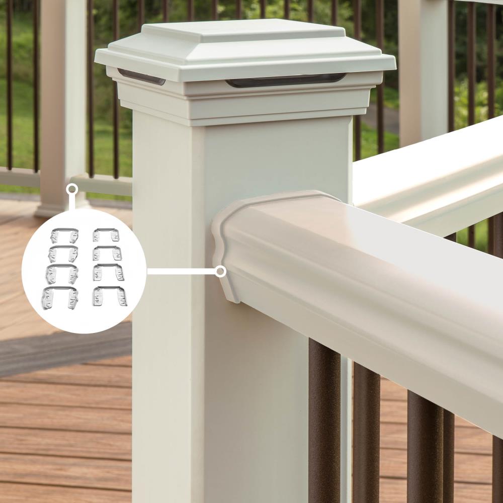 A single green leaf against a white background.