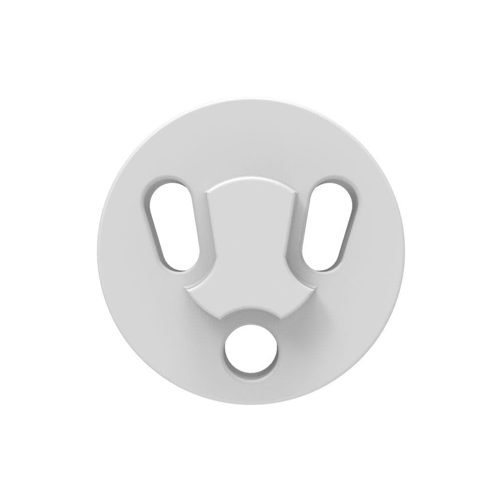 A single green leaf against a white background.